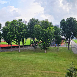 Blk 826 Yishun Street 81 (Yishun), HDB Executive #599889801